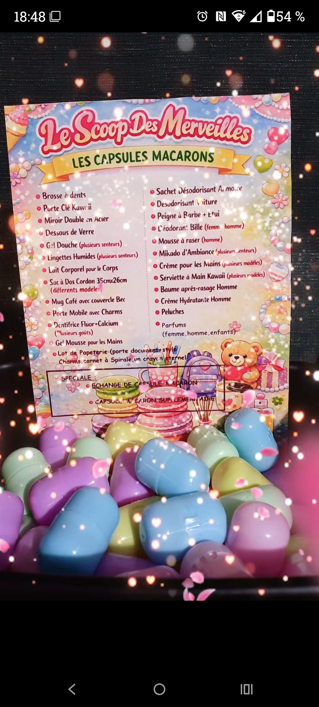 DEUX CAPSULES MACARONS